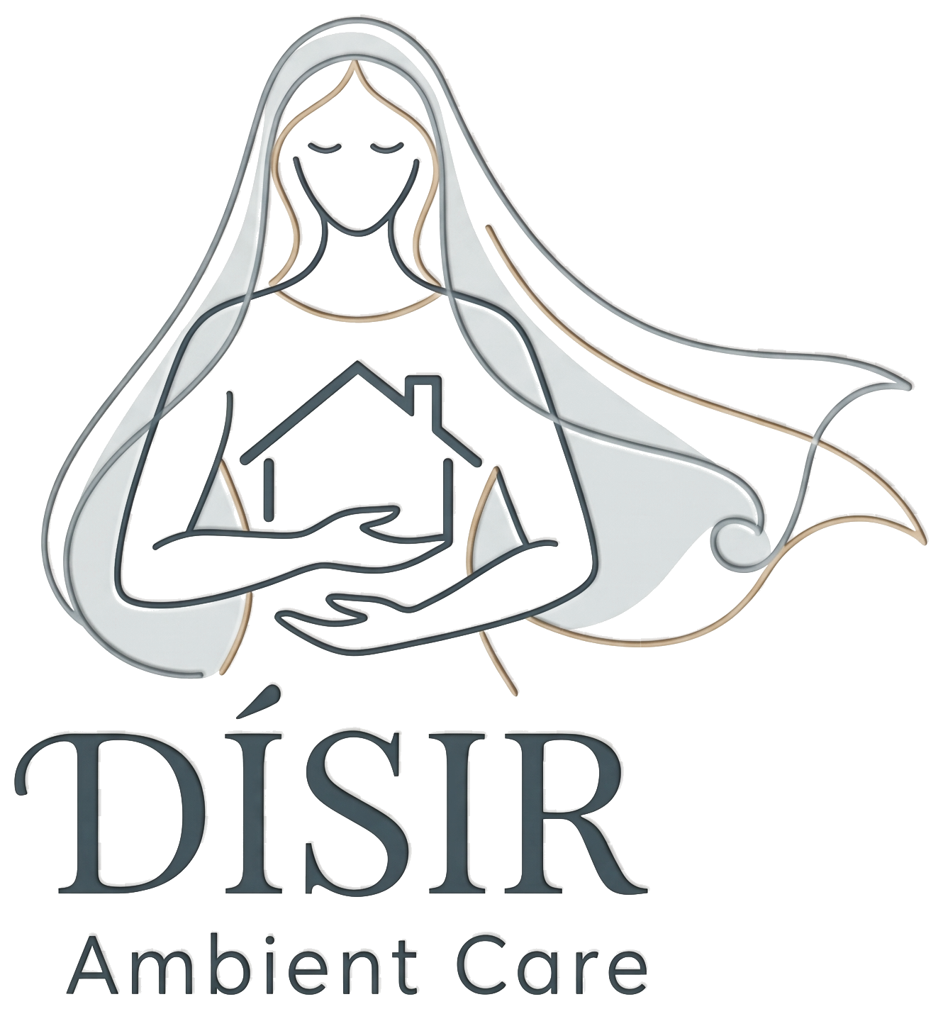 Dísir Ambient Care